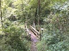 bridge; IAT; Swamp Lovers Area, WI